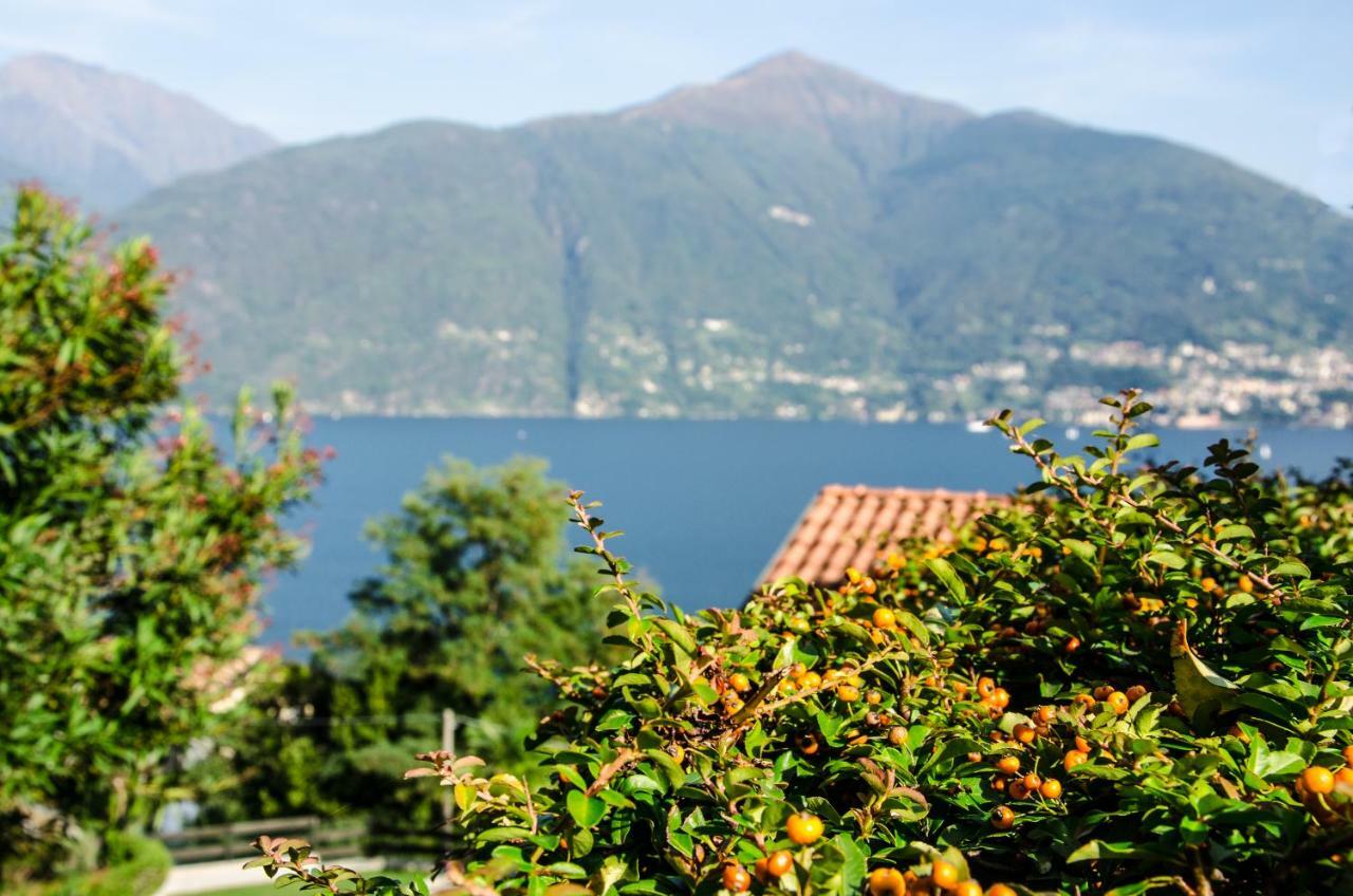 Anma Cottages Sole Lago Acquaseria Екстериор снимка